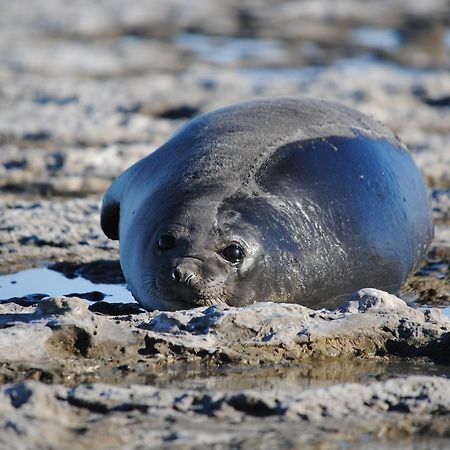 Hotel Faro Punta Delgada Zewnętrze zdjęcie